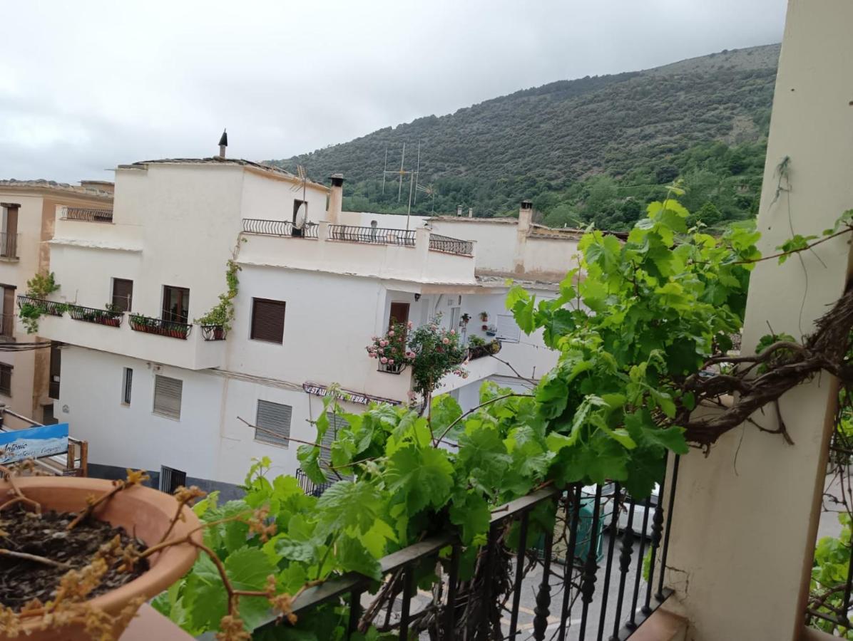 Al-Medin Διαμέρισμα Trevélez Εξωτερικό φωτογραφία