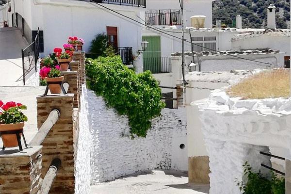 Al-Medin Διαμέρισμα Trevélez Εξωτερικό φωτογραφία